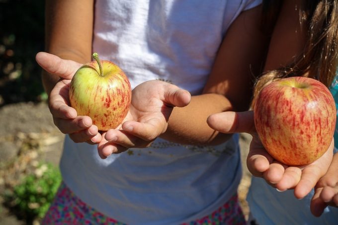 Kinder mit Äpfeln